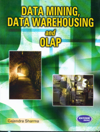 Data Mining Data Warehousing & Olap